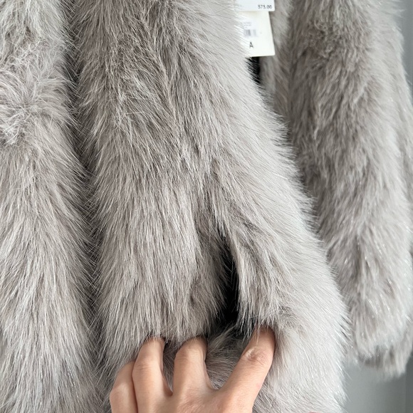 Apparis Gray Teddy Jacket Plush Faux Fur - Picture 9 of 11